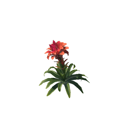 PlantFlower1_1