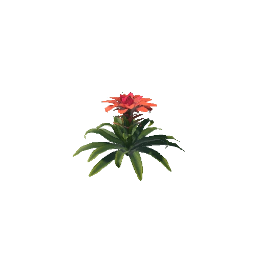 PlantFlower1_2