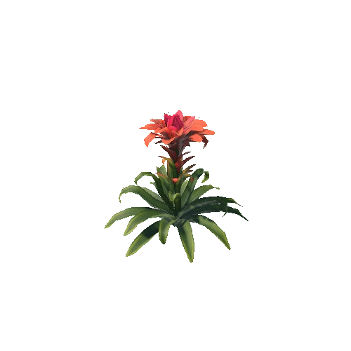 PlantFlower1_4