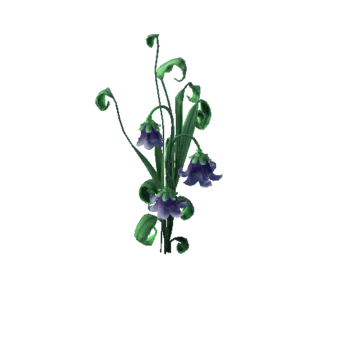 PlantFlower3_4