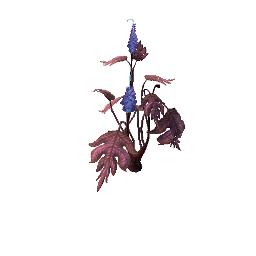 PlantFlower4_5