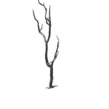 Tree_01