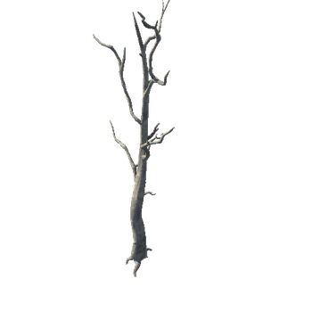 Tree_02