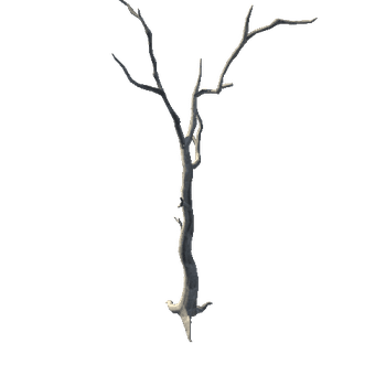 Tree_04