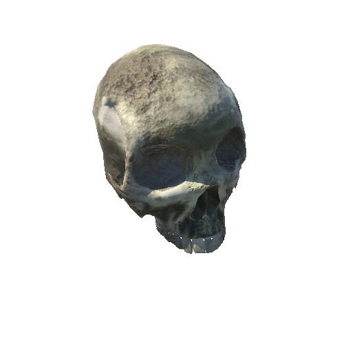SM_Skull