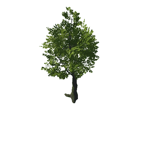 Tree_08