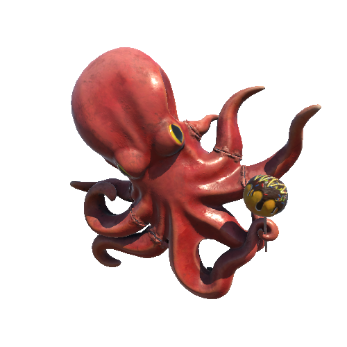 octopus