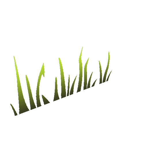 Grass_Card_C