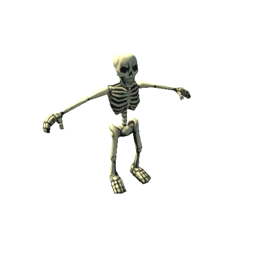 Skeleton