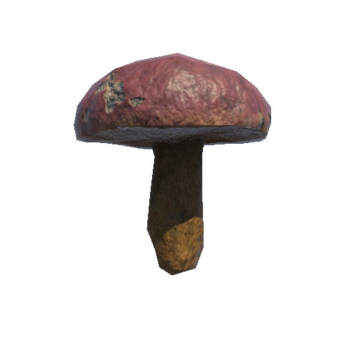 Mushroom_02