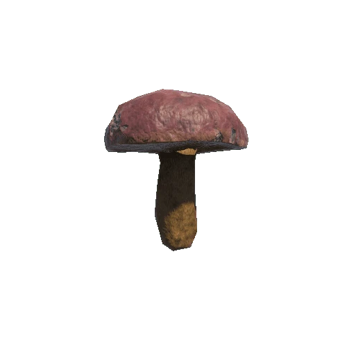 Mushroom_02