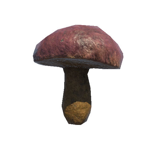 Mushroom_03