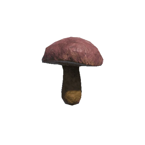 Mushroom_03