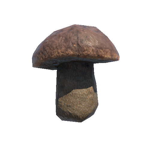 Mushroom_04