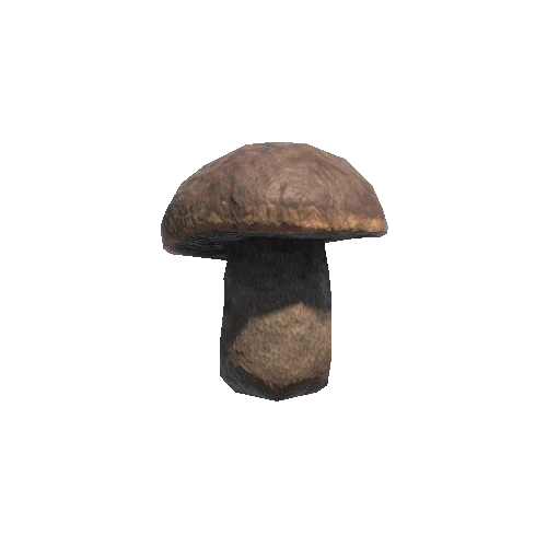 Mushroom_04