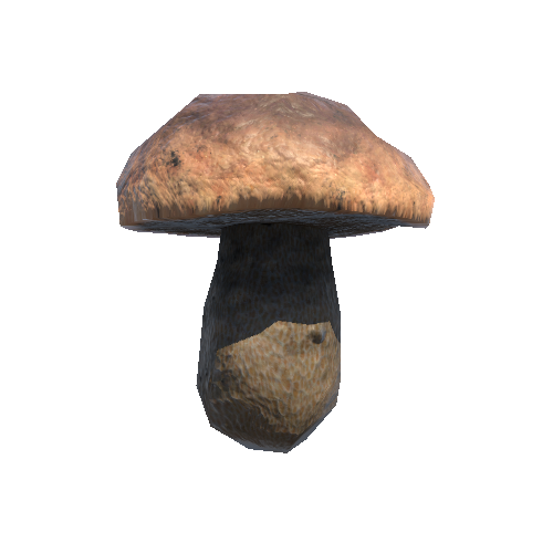 Mushroom_05