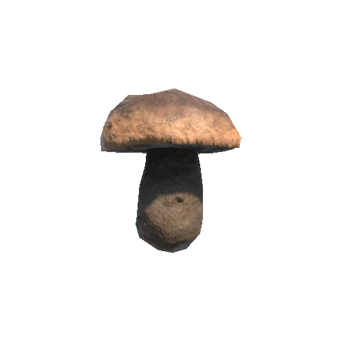 Mushroom_05