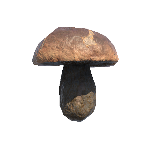 Mushroom_06