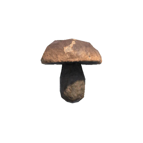 Mushroom_06