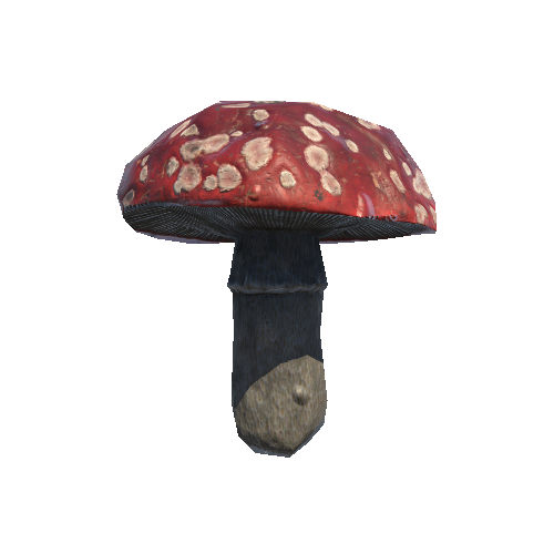 Mushroom_07