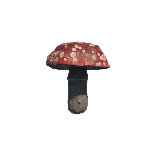 Mushroom_07