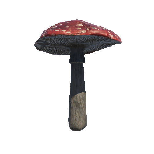 Mushroom_08