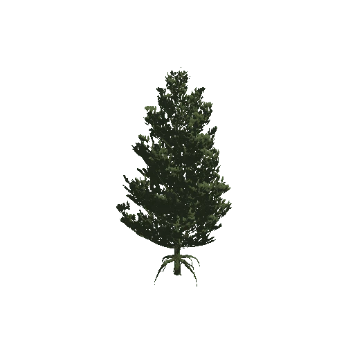 Pine_05