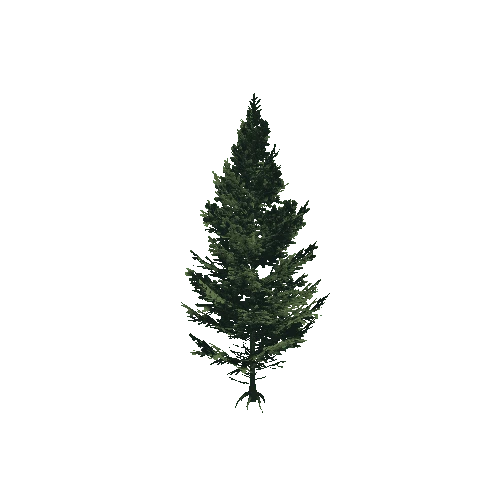 Tree6