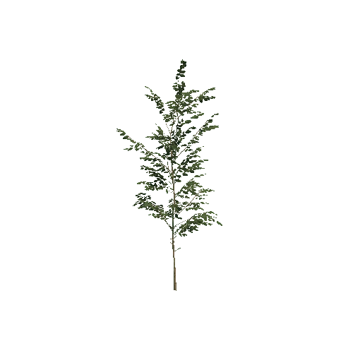 Tree_Small_01