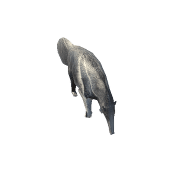 GiantAnteaterLowPoly