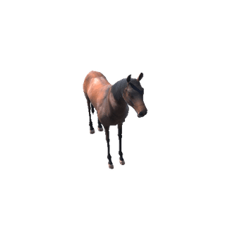 HorseModelLowPoly