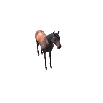 HorseModelMiddlePoly