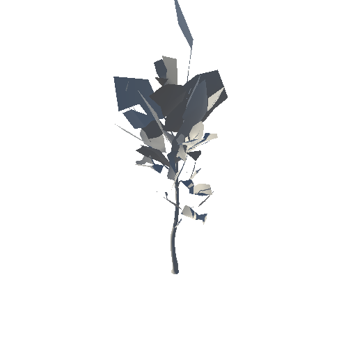 SilverBirch_01_Vertex