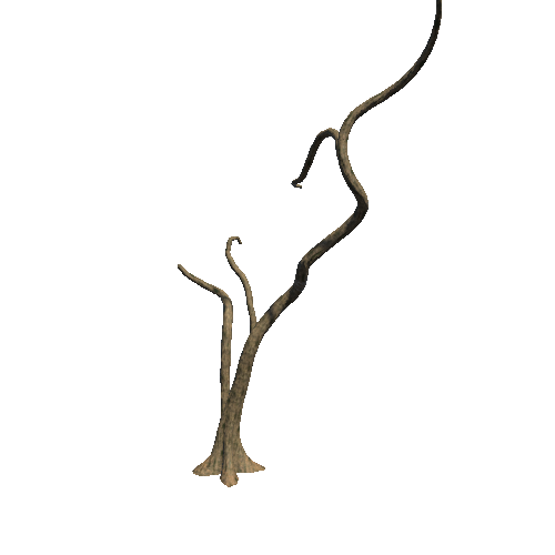 Branches_06