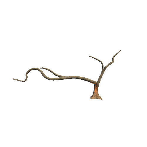 Branches_08