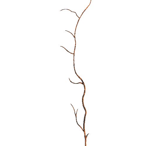 Branches_3