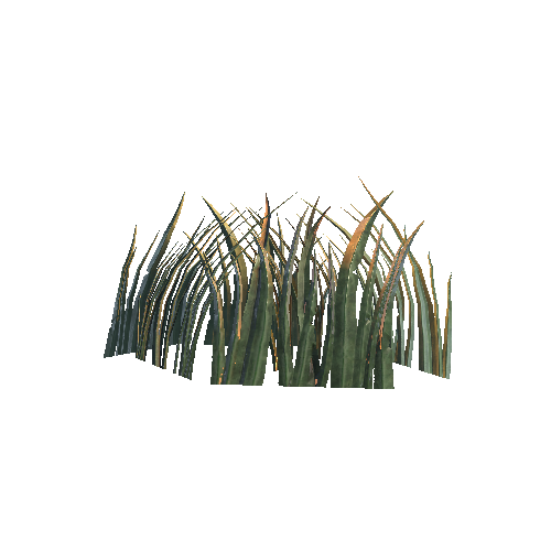 Grass_pube_tall_2