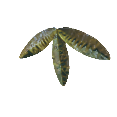 Leaf_1