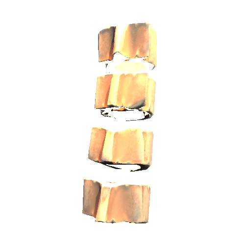 Lumbar_Vertebrae_01_lod0