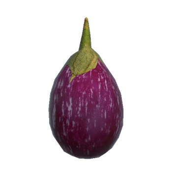 Pref_Brinjal02_Sm