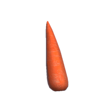 Pref_Carrot01_Sm