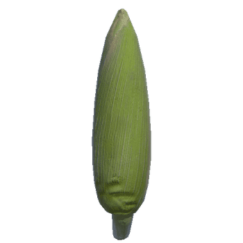 Pref_Corn01_Sm