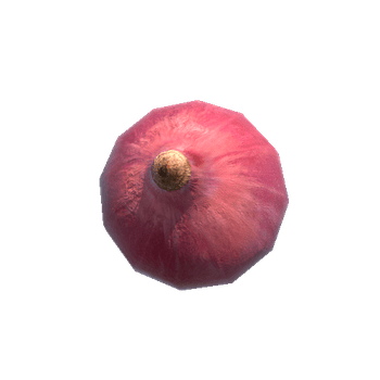 Pref_Onion02_Sm