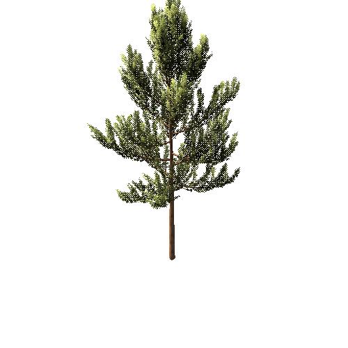 tree7_lod0