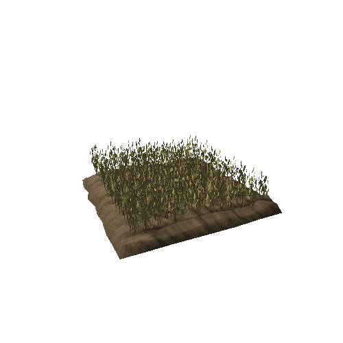 field_wheat