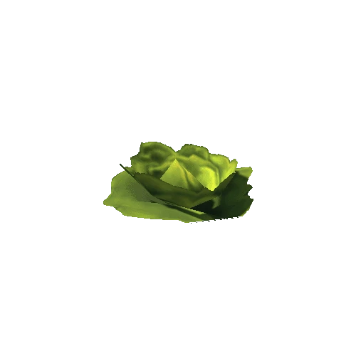 lettuce_01