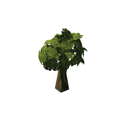 tree_leafy_03