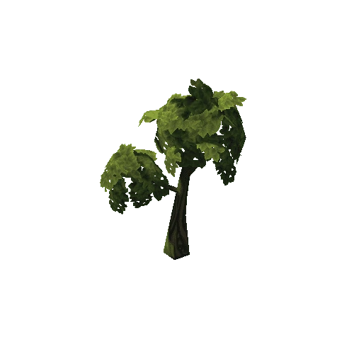 tree_leafy_04