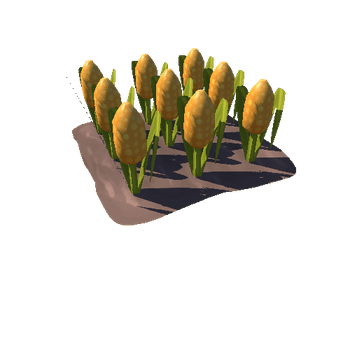 Farm_Corn_01