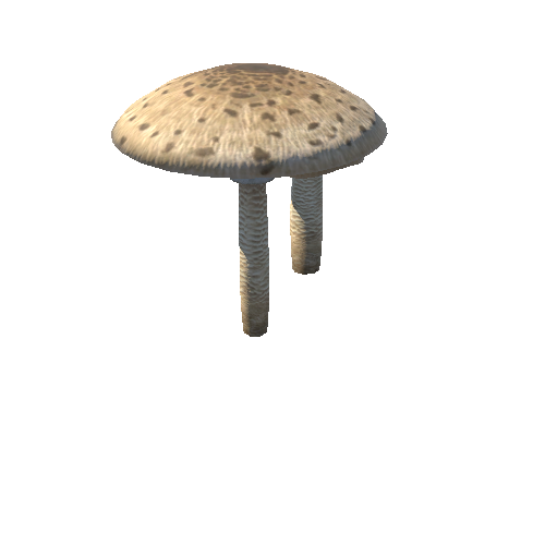 White_hat_mushroom